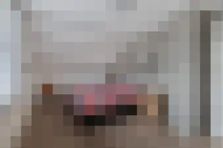 Blokzijlerdwarsweg 11 Marknesse thumbnail 24