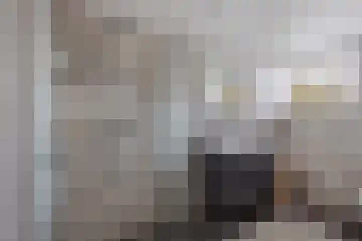 Blokzijlerdwarsweg 11 Marknesse thumbnail 25