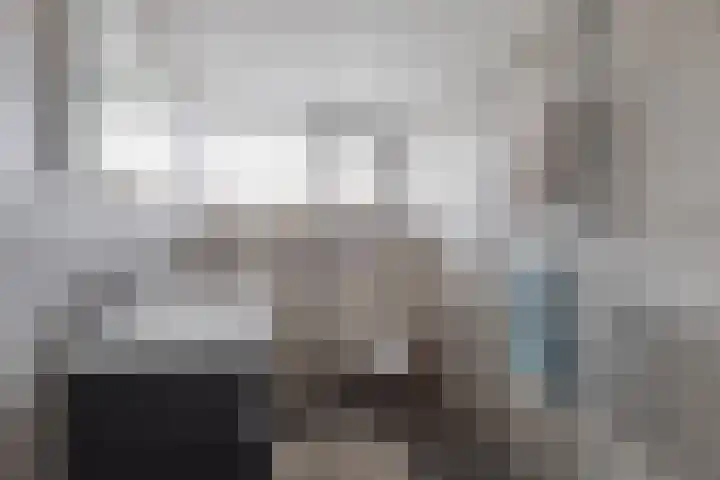 Blokzijlerdwarsweg 11 Marknesse thumbnail 26
