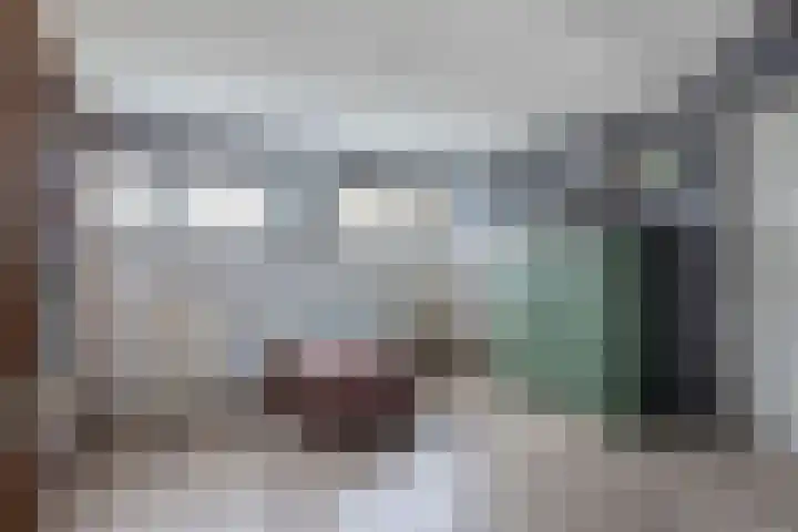 Blokzijlerdwarsweg 11 Marknesse thumbnail 28