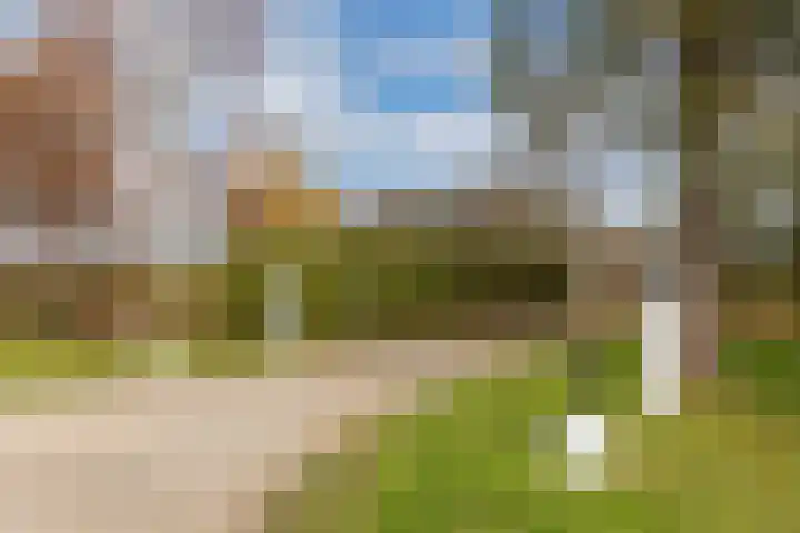 Blokzijlerdwarsweg 11 Marknesse thumbnail 31