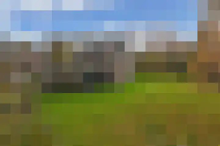 Blokzijlerdwarsweg 11 Marknesse thumbnail 34