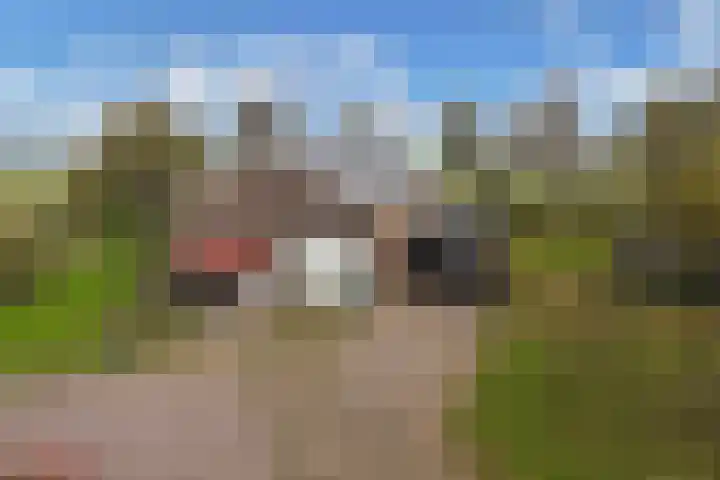 Blokzijlerdwarsweg 11 Marknesse thumbnail 35