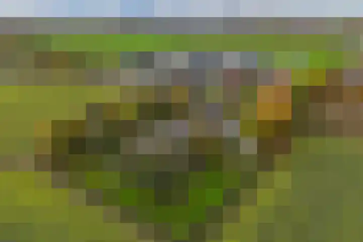 Blokzijlerdwarsweg 11 Marknesse thumbnail 37