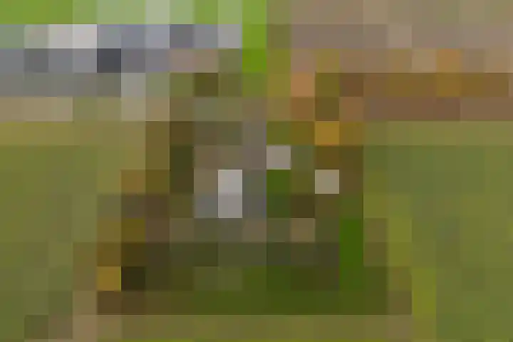 Blokzijlerdwarsweg 11 Marknesse thumbnail 38
