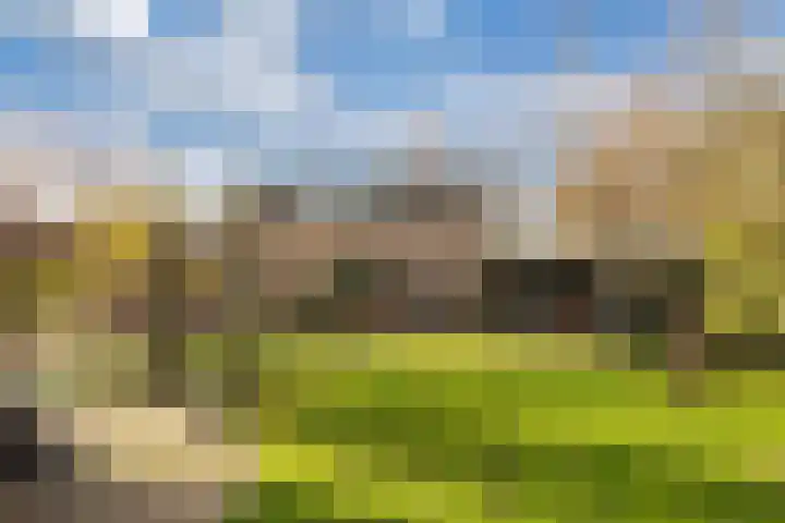 Blokzijlerdwarsweg 11 Marknesse thumbnail 39