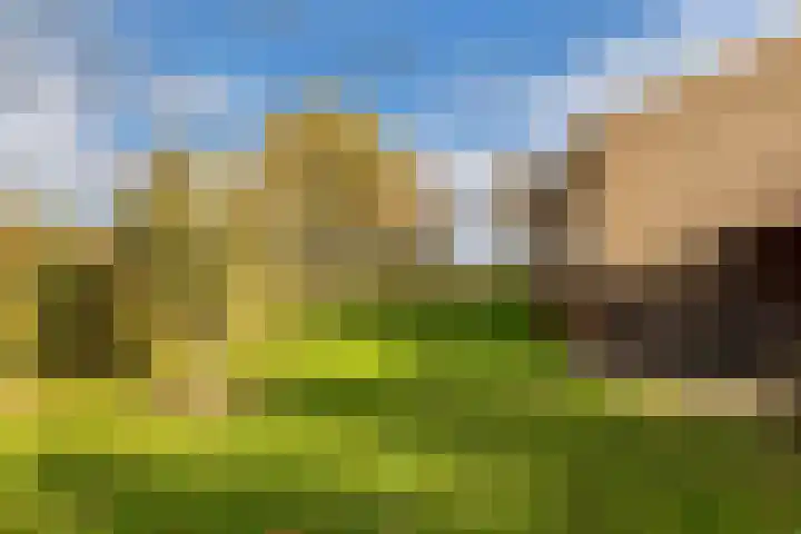 Blokzijlerdwarsweg 11 Marknesse thumbnail 40