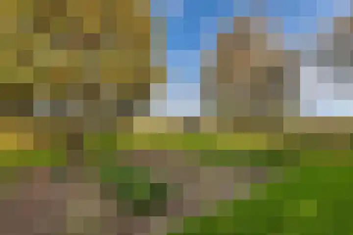 Blokzijlerdwarsweg 11 Marknesse thumbnail 41