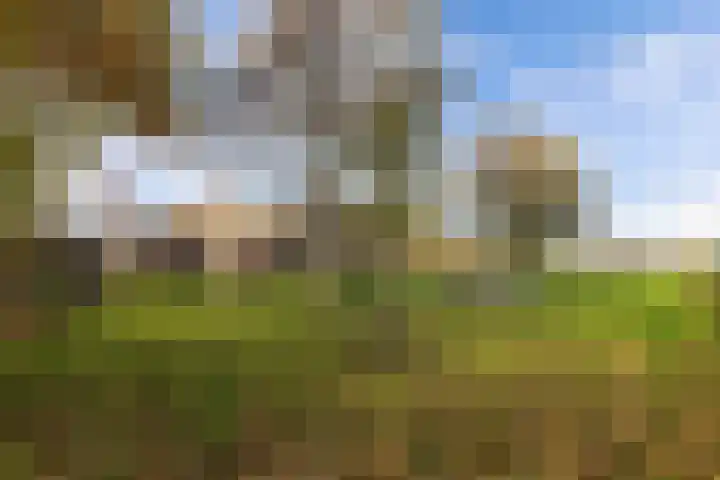 Blokzijlerdwarsweg 11 Marknesse thumbnail 43