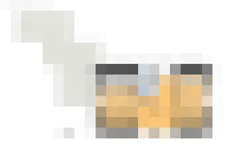 Blokzijlerdwarsweg 11 Marknesse thumbnail 46