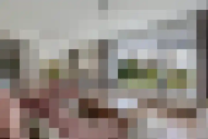 Blokzijlerdwarsweg 11 Marknesse thumbnail 5