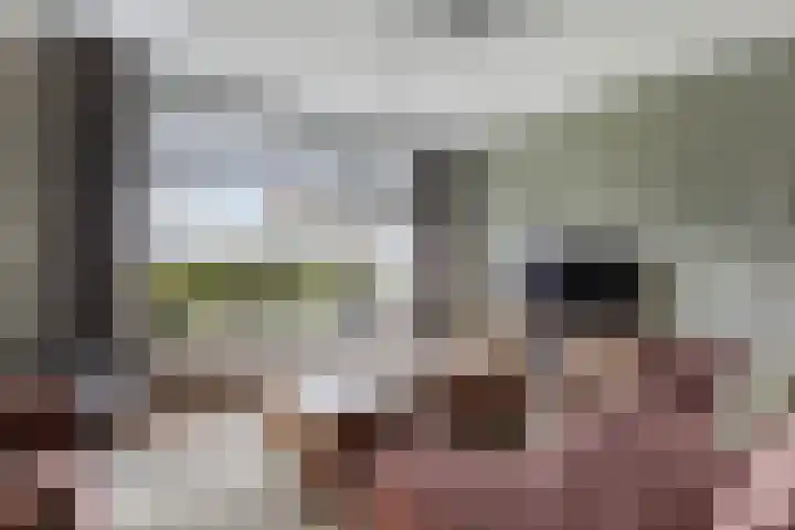 Blokzijlerdwarsweg 11 Marknesse thumbnail 6