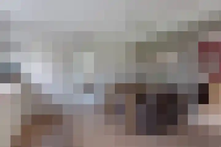 Blokzijlerdwarsweg 11 Marknesse thumbnail 8