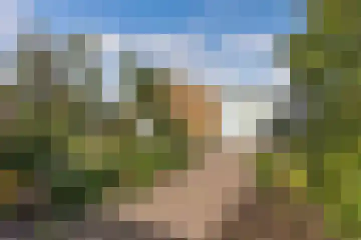 Blokzijlerweg 5 Marknesse thumbnail 13