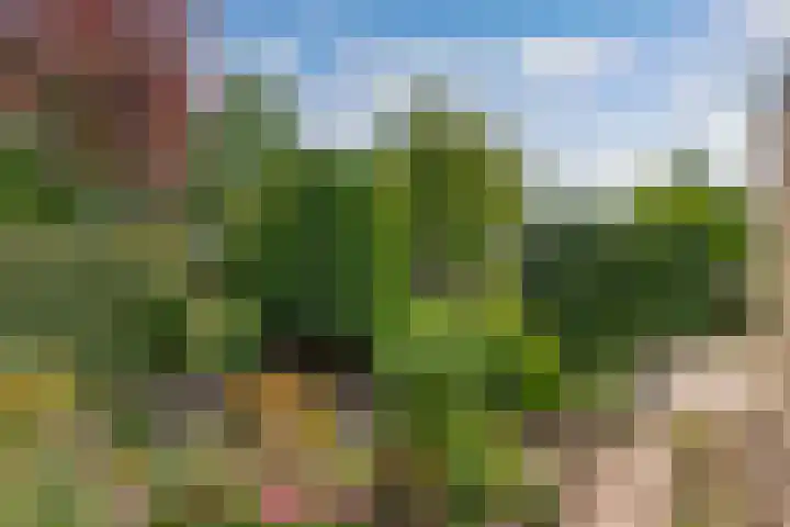 Blokzijlerweg 5 Marknesse thumbnail 14