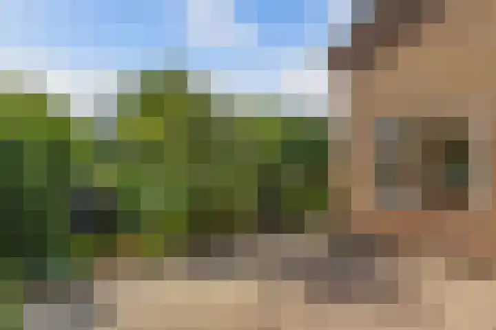 Blokzijlerweg 5 Marknesse thumbnail 15