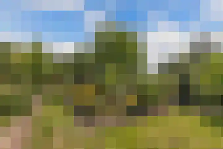 Blokzijlerweg 5 Marknesse thumbnail 16