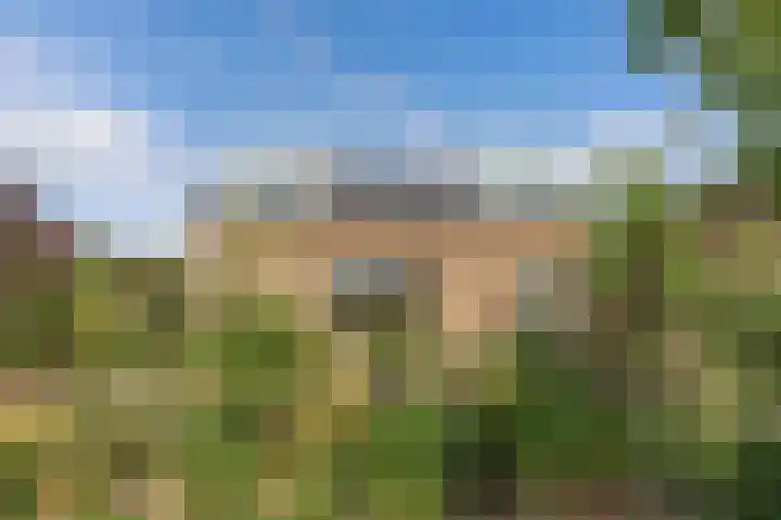 Blokzijlerweg 5 Marknesse thumbnail 18