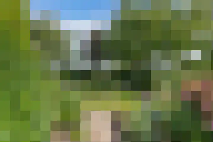 Blokzijlerweg 5 Marknesse thumbnail 19