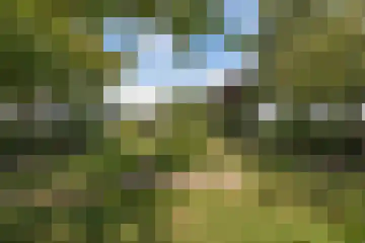 Blokzijlerweg 5 Marknesse thumbnail 21