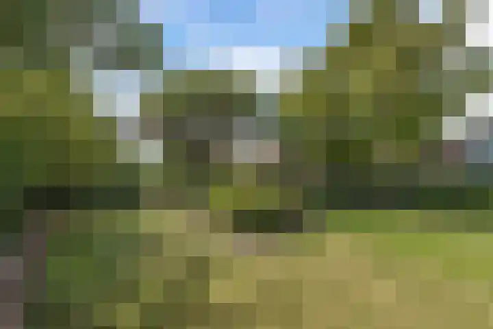 Blokzijlerweg 5 Marknesse thumbnail 22
