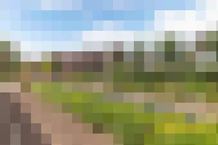 Blokzijlerweg 5 Marknesse thumbnail 24