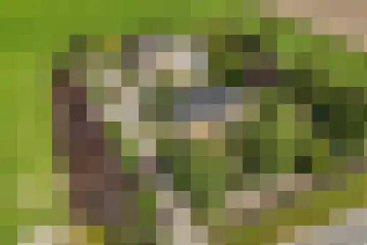 Blokzijlerweg 5 Marknesse thumbnail 27