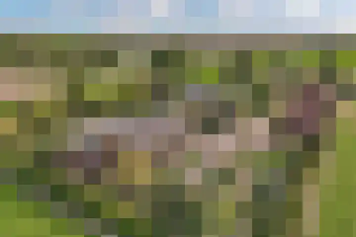 Blokzijlerweg 5 Marknesse thumbnail 30