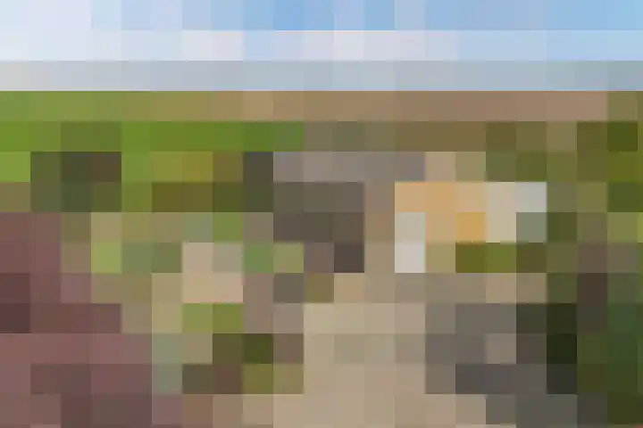 Blokzijlerweg 5 Marknesse thumbnail 31