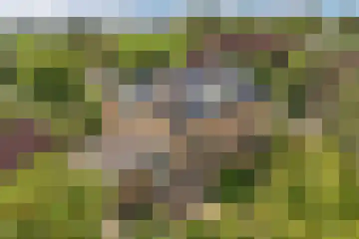 Blokzijlerweg 5 Marknesse thumbnail 32