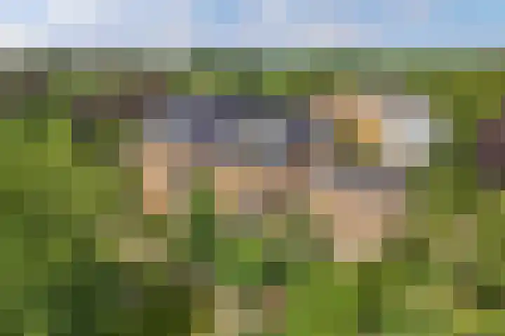 Blokzijlerweg 5 Marknesse thumbnail 33