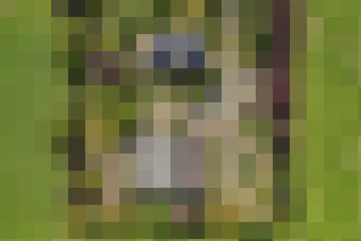 Blokzijlerweg 5 Marknesse thumbnail 35