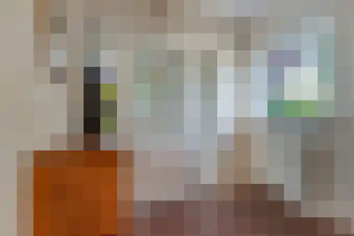 Blokzijlerweg 5 Marknesse thumbnail 36