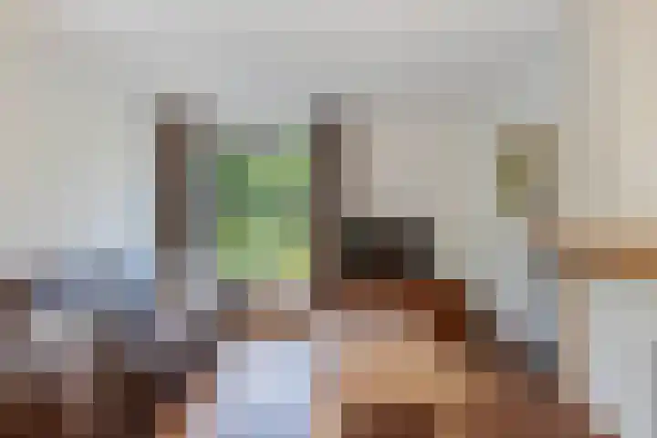 Blokzijlerweg 5 Marknesse thumbnail 41