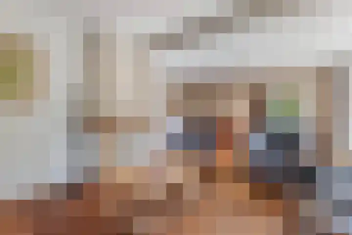 Blokzijlerweg 5 Marknesse thumbnail 42