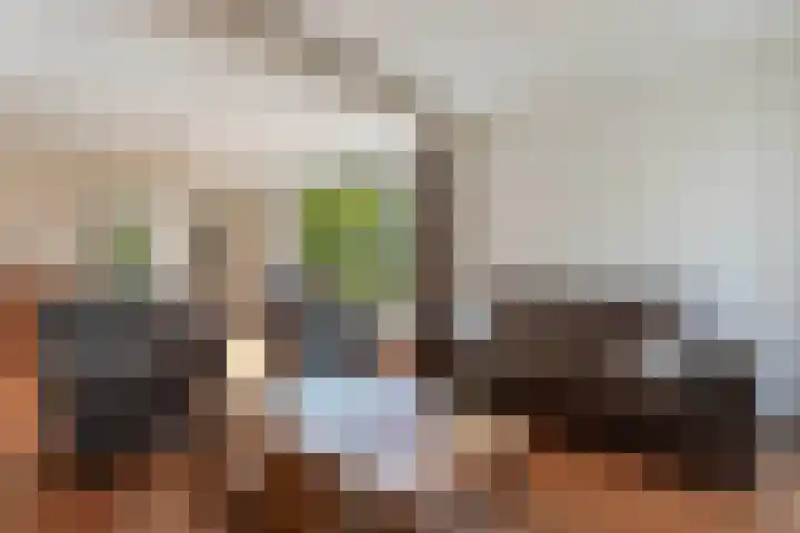 Blokzijlerweg 5 Marknesse thumbnail 43
