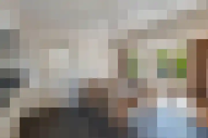 Blokzijlerweg 5 Marknesse thumbnail 52