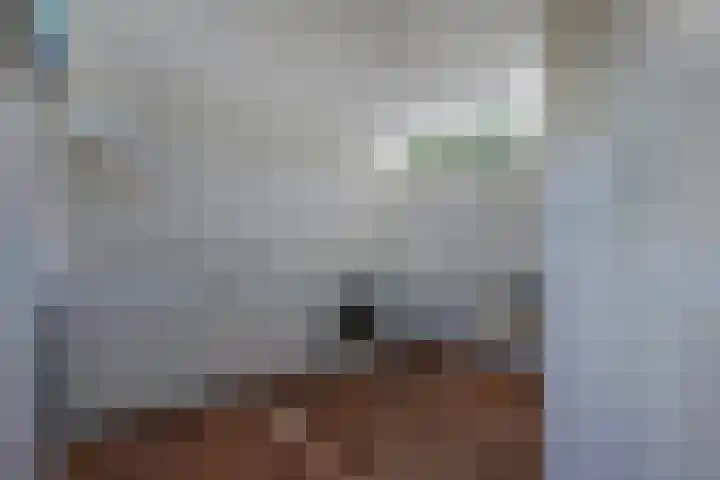 Blokzijlerweg 5 Marknesse thumbnail 56