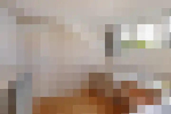 Blokzijlerweg 5 Marknesse thumbnail 65