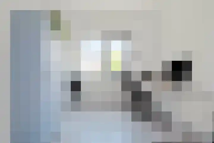 Blokzijlpark 18 Amersfoort thumbnail 22