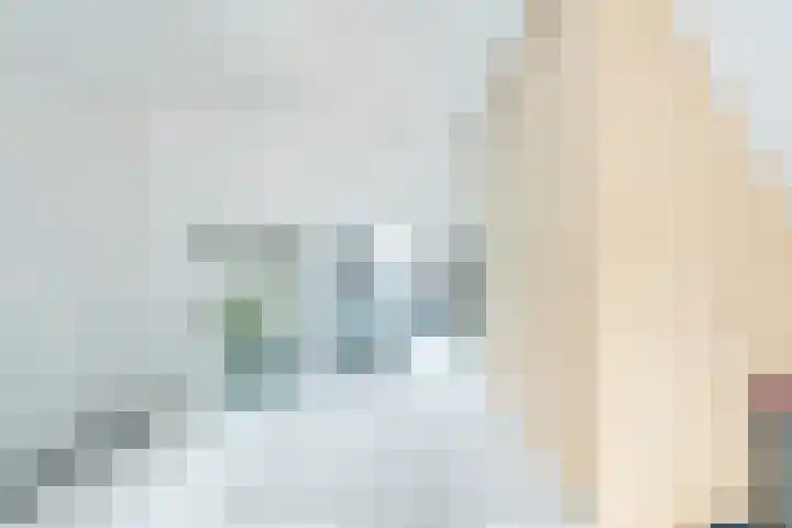 Blokzijlpark 18 Amersfoort thumbnail 25