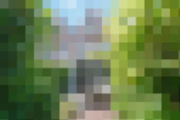 Blokzijlpark 18 Amersfoort thumbnail 30