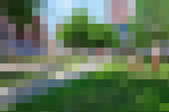 Blokzijlpark 18 Amersfoort thumbnail 31