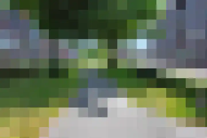 Blokzijlpark 18 Amersfoort thumbnail 8