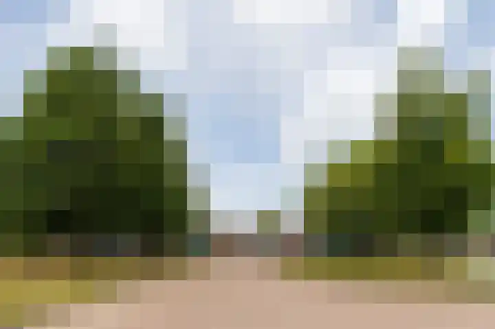 Blomakker 6 a Wouw thumbnail 18