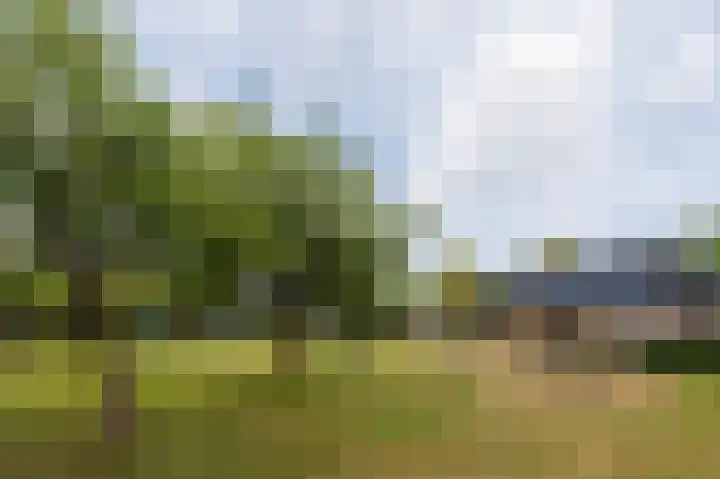 Blomakker 6 a Wouw thumbnail 19
