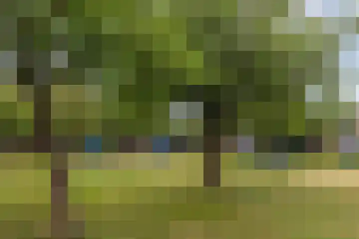 Blomakker 6 a Wouw thumbnail 20