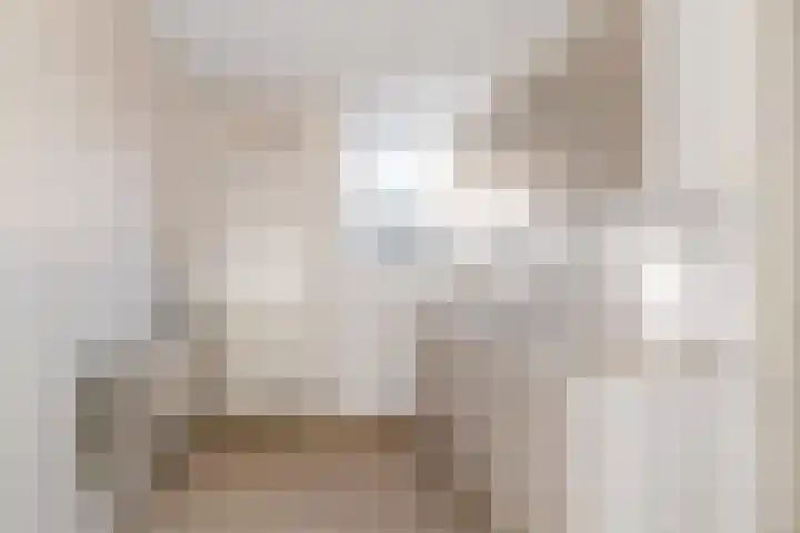 Blomfinne 2 Oudega thumbnail 10