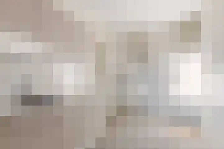 Blomfinne 2 Oudega thumbnail 11