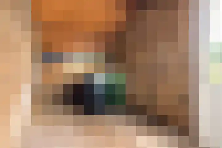 Blomfinne 2 Oudega thumbnail 12